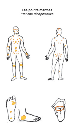 Les différents points marmas